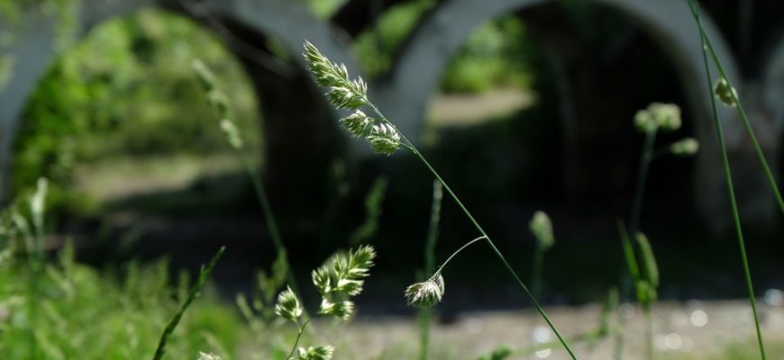 Складні загадки для дітей — виклики для юних інтелектуалів